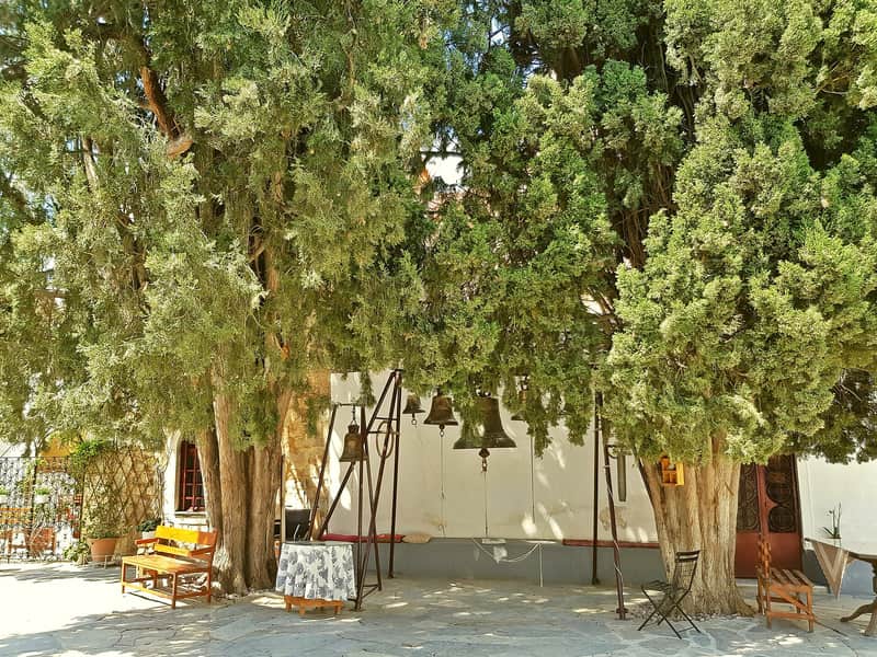 Rent a car Salamina: the shaded courtyard of the Faneromeni monastery with tall cypress trees, benches and the church bells