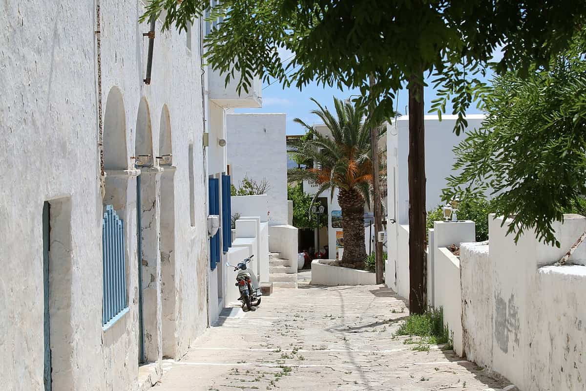 Villages of Milos: a whitewashed lane in Plaka with arched house fronts, blue shutters and a palm tree