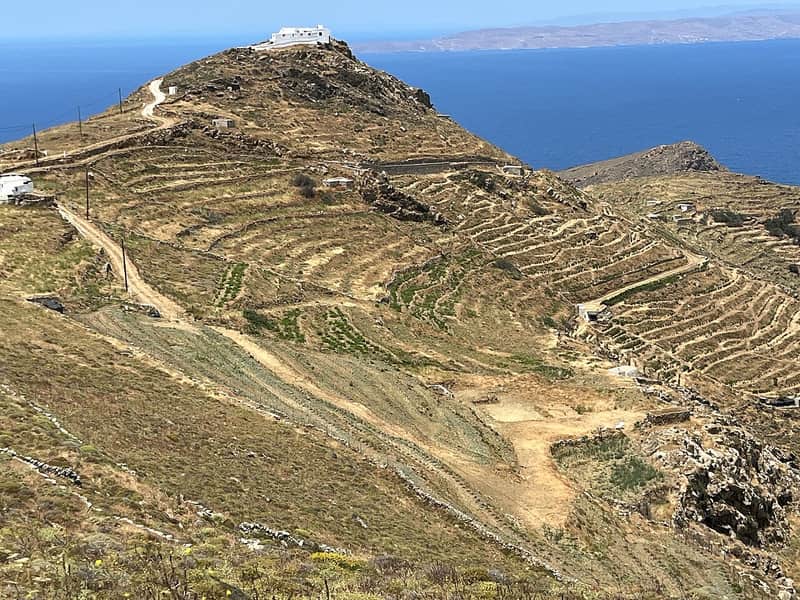 Milos wine tasting: terraced vineyard slopes on a dry Cycladic hillside above the blue sea