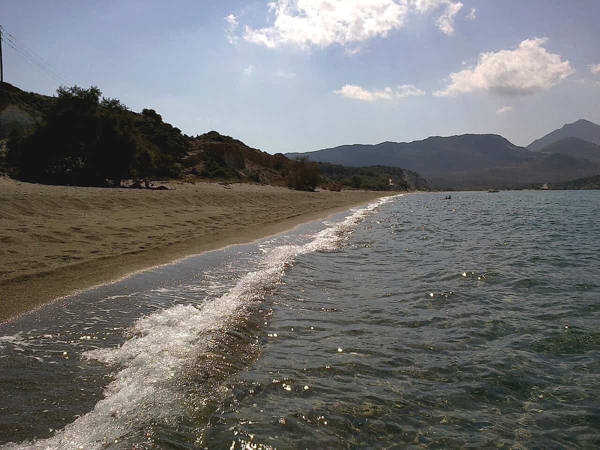 Κάμπινγκ Μήλος: η μεγάλη αμμουδιά της Αχιβαδολίμνης με δέντρα πίσω της και βουνά στο βάθος του κόλπου